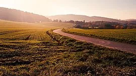 csm_Rubrik_Landwirtschaft-pixabay_field-1246620_960_720_bf8fda64ef